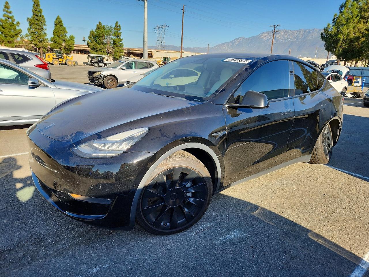 Photo of the 2020 TESLA MODEL Y