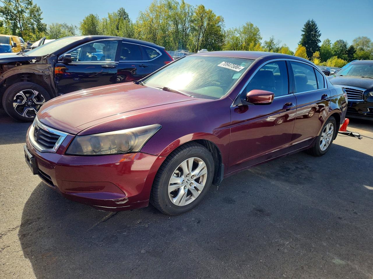 Photo of the 2010 HONDA ACCORD LXP