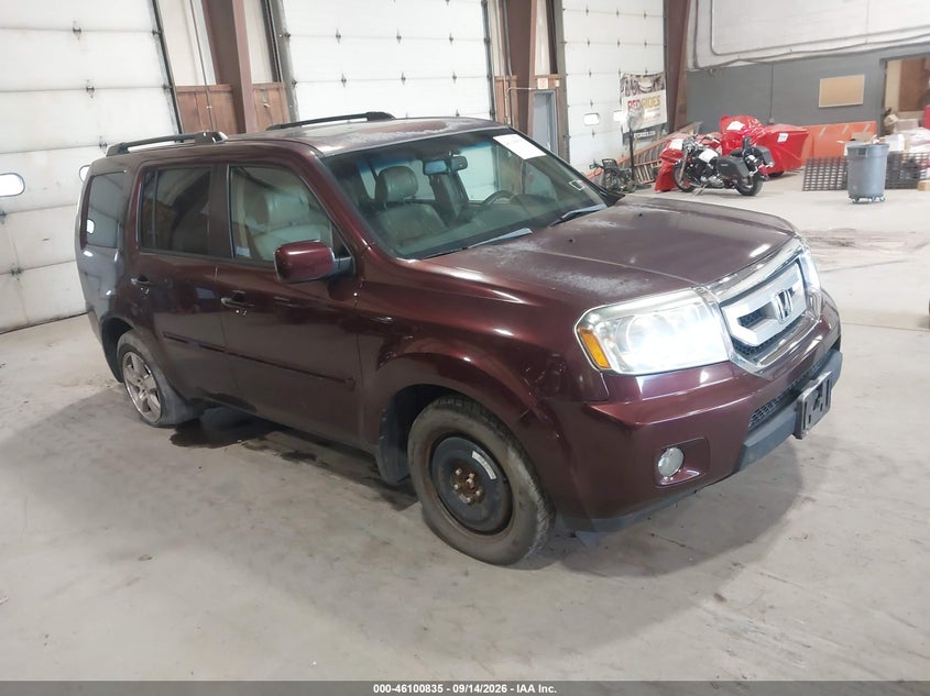Photo of the 2011 HONDA PILOT EX-L