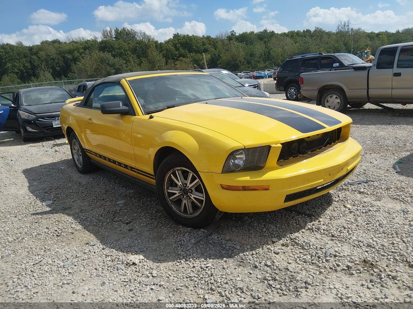 Photo of the 2006 FORD MUSTANG V6