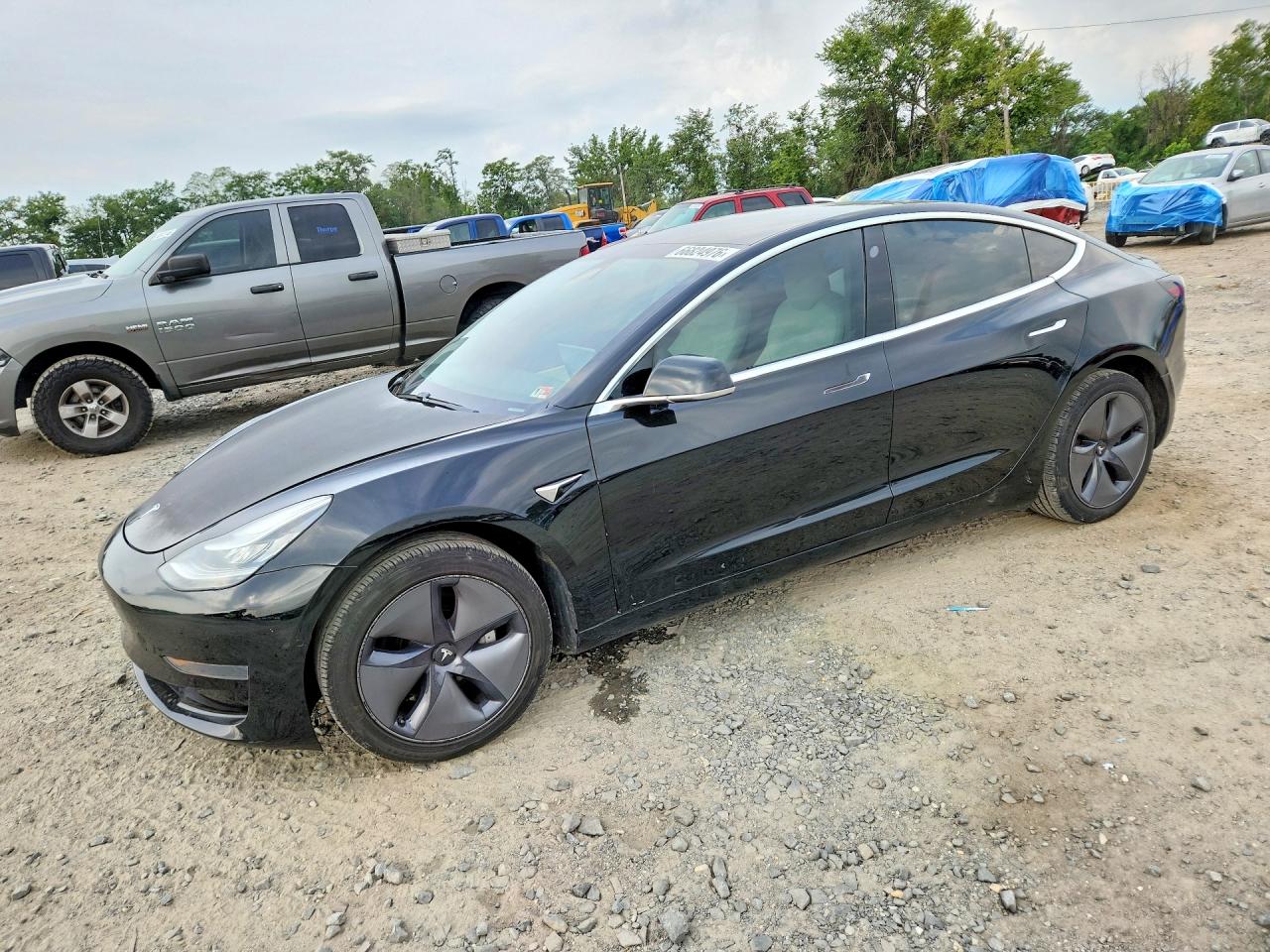 Photo of the 2020 TESLA MODEL 3