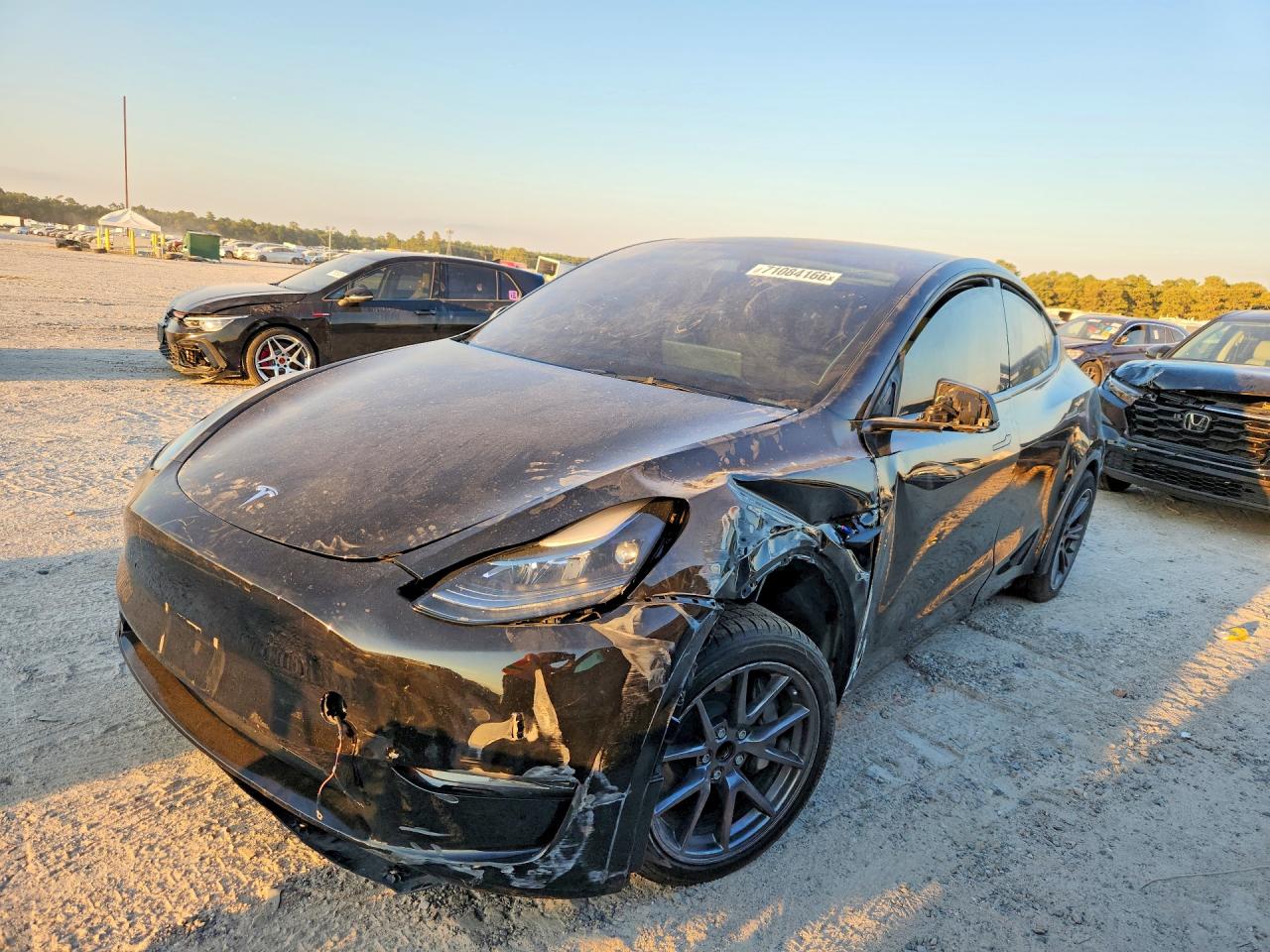 Photo of the 2025 TESLA MODEL Y