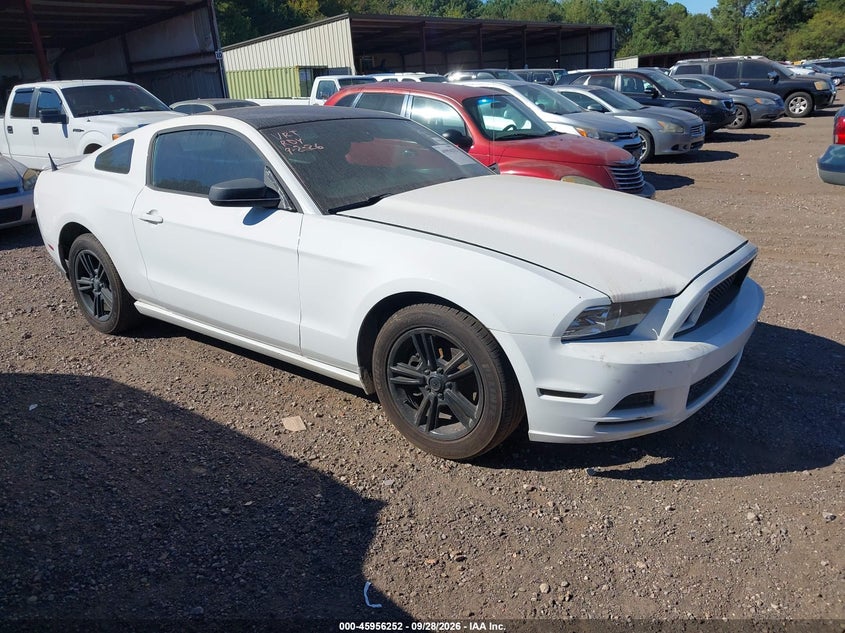 Photo of the 2013 FORD MUSTANG V6