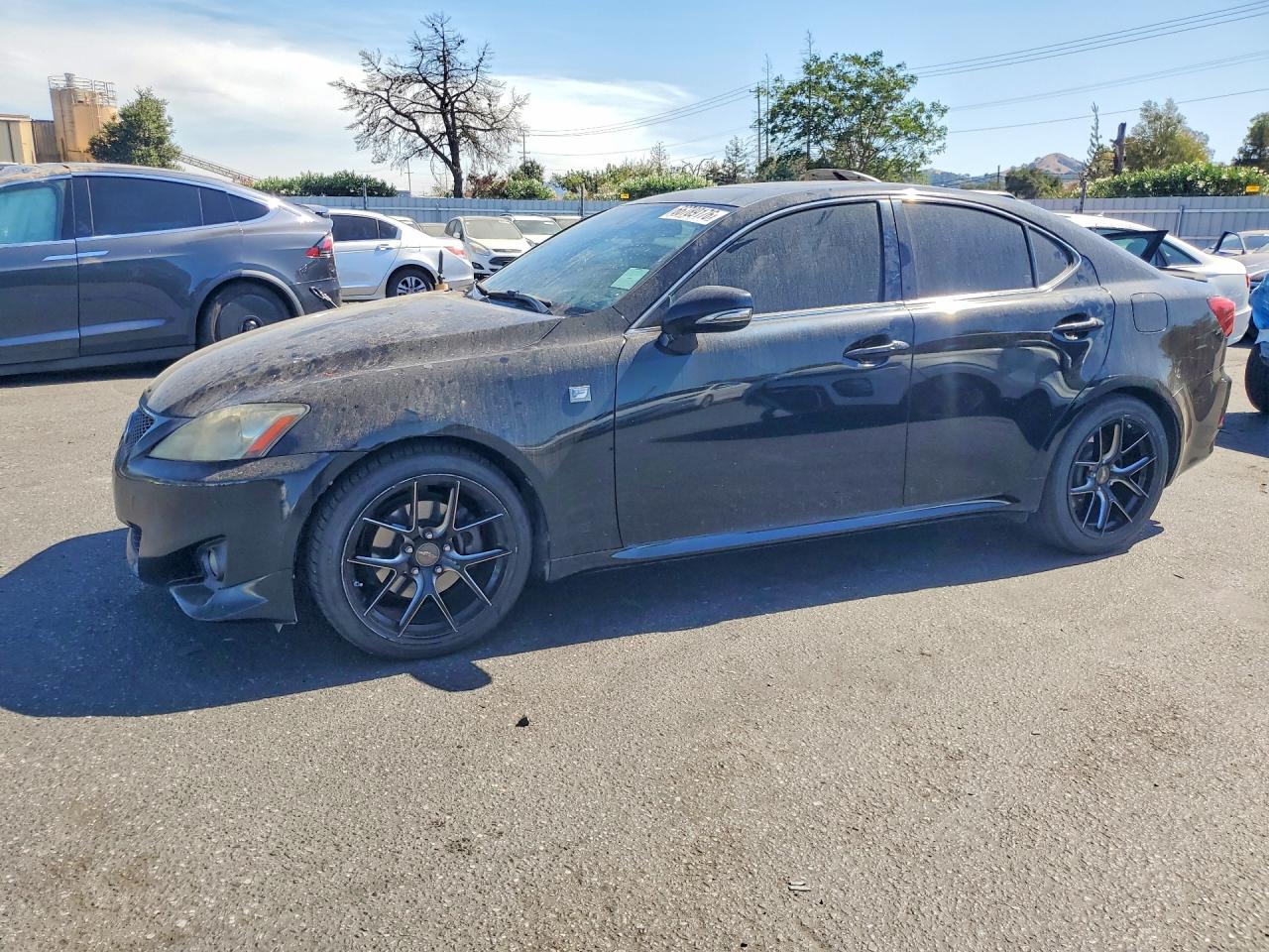 Photo of the 2013 LEXUS IS 250