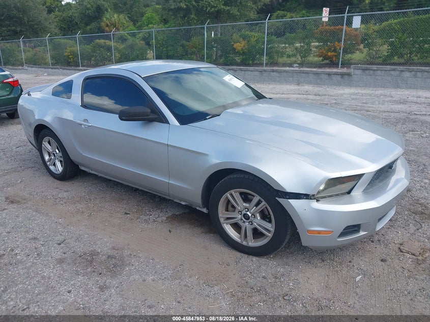 Photo of the 2011 FORD MUSTANG V6