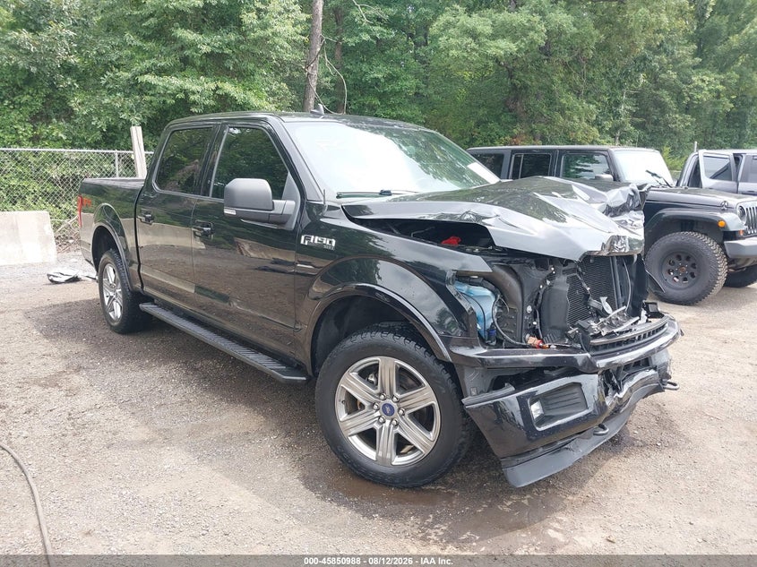 Photo of the 2019 FORD F-150 XLT