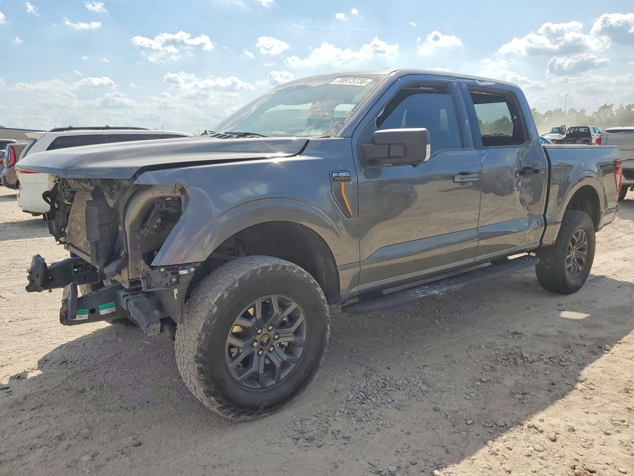 Photo of the 2025 FORD F150 TREMOR