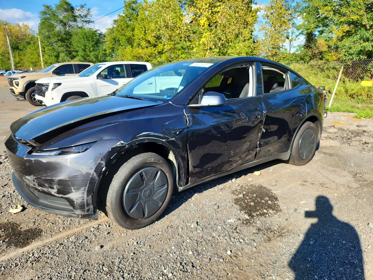 Photo of the 2026 TESLA MODEL Y