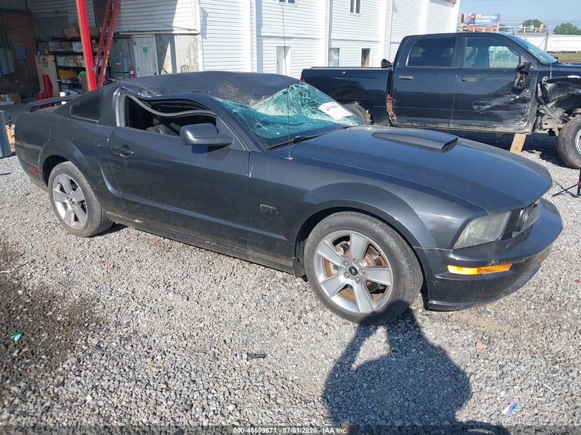 Photo of the 2007 FORD MUSTANG GT DELUXE/GT PREMIUM